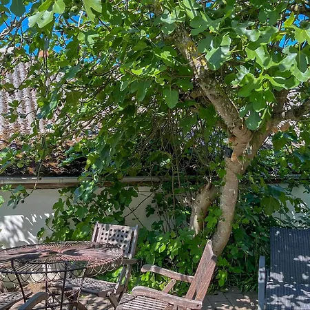 بيت للعطل 3 Bedroom Amazing In *