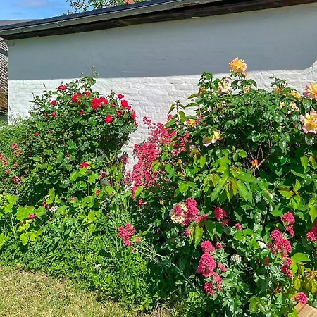 Feriehus Fantastisk Hjem Med 3 Soverom I *